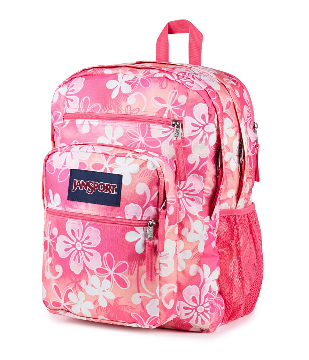 Jansport Big Student - Hiblisscus