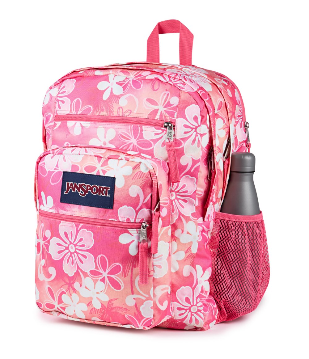 Jansport Big Student - Hiblisscus