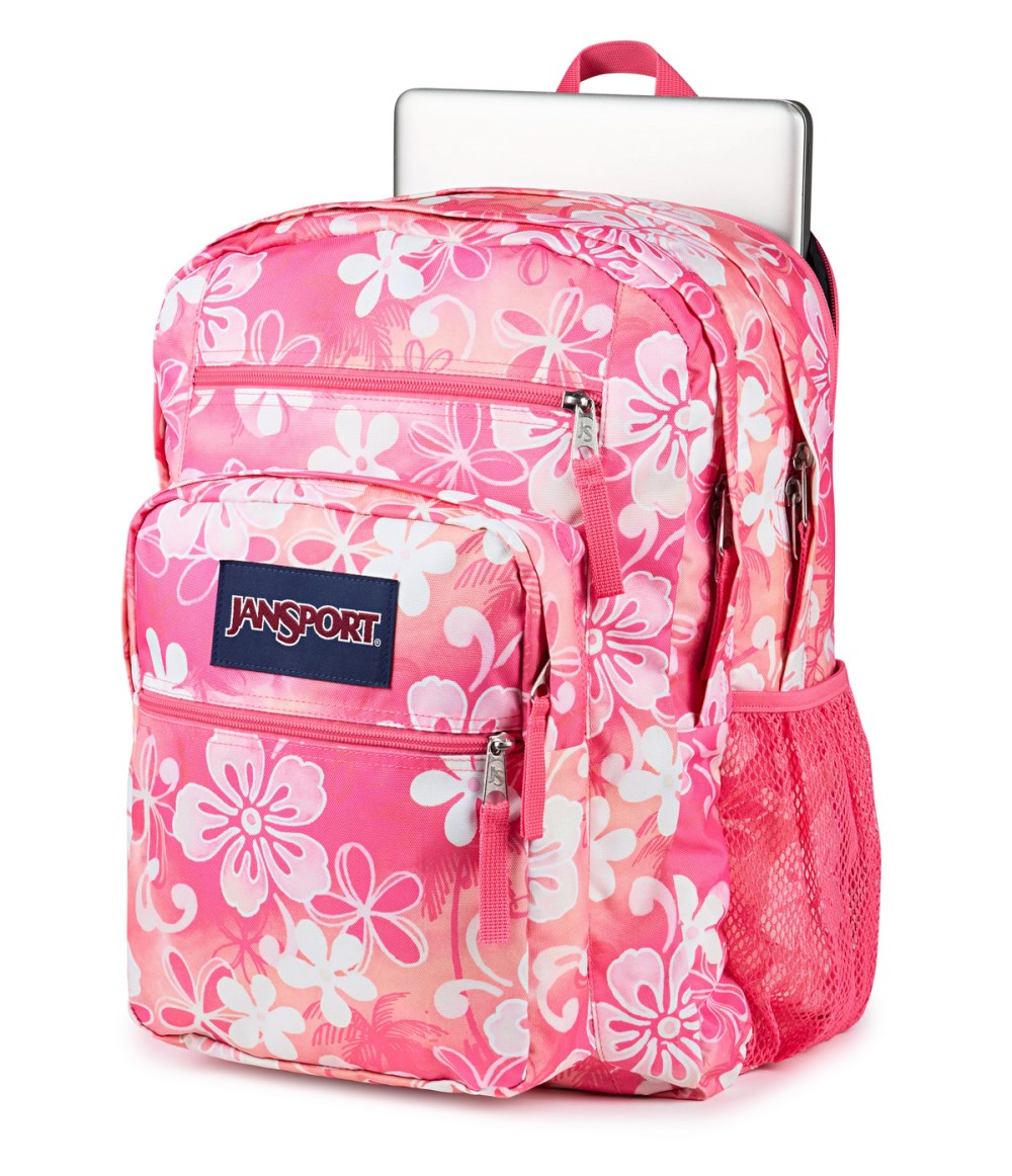 Jansport Big Student - Hiblisscus