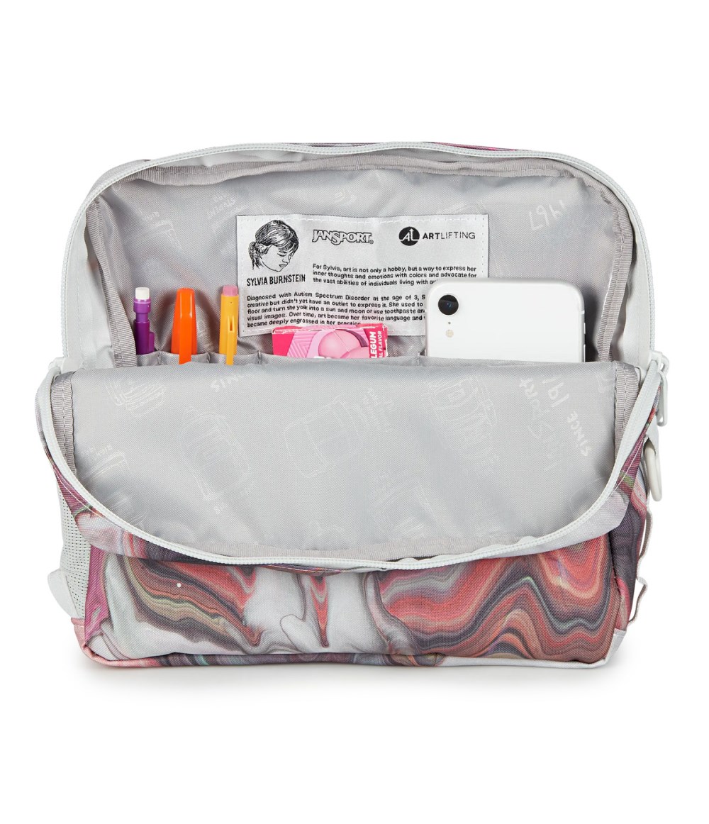 Jansport Central Adaptive Crossbody - Sylvia Burnstein Renassaince